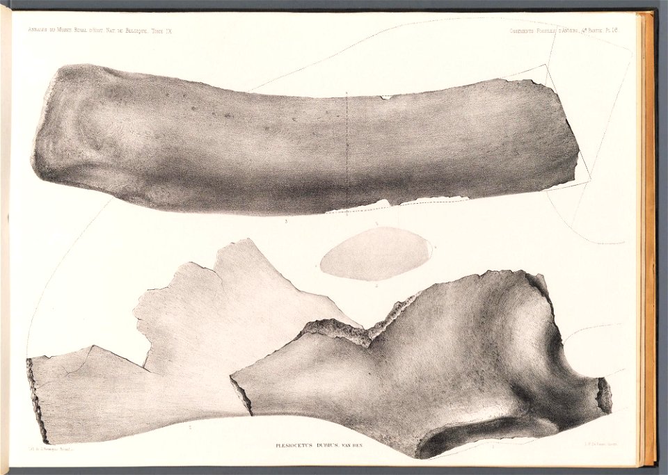 n71_w1150