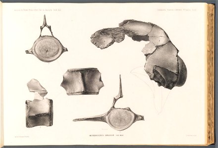 n132_w1150