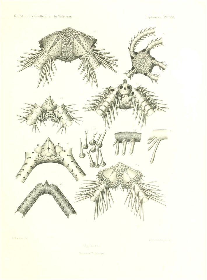 n548_w1150