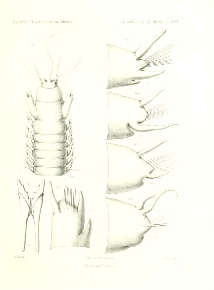 n518_w1150