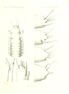 n518_w1150