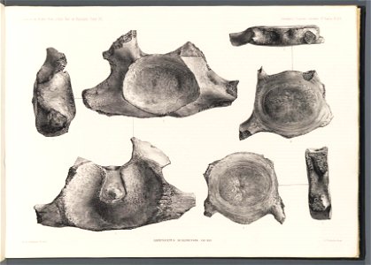n290_w1150