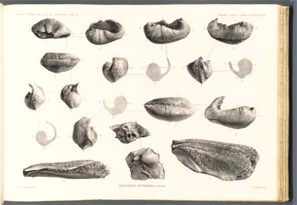 n166_w1150