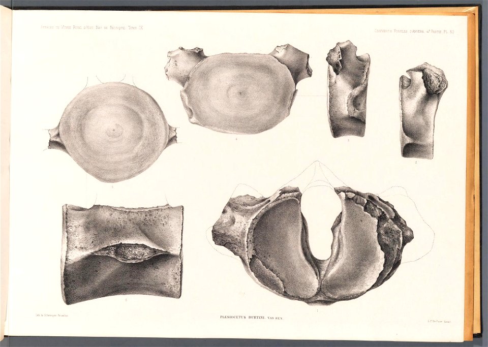 n127_w1150