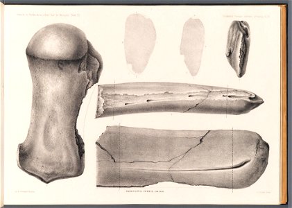 n67_w1150