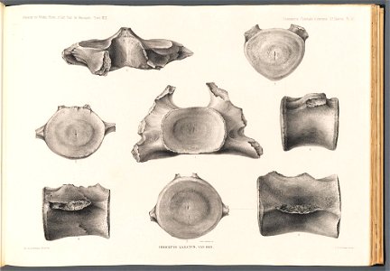 n251_w1150