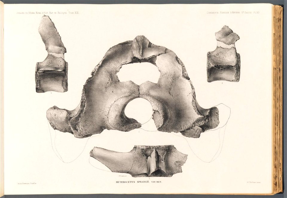 n128_w1150