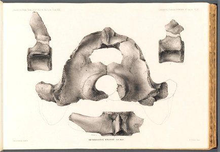 n128_w1150