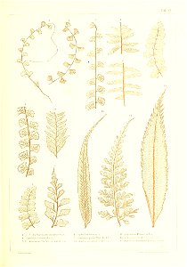 n408_w1150