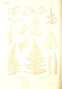 n375_w1150