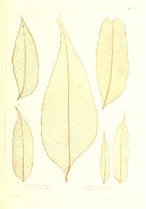 n330_w1150