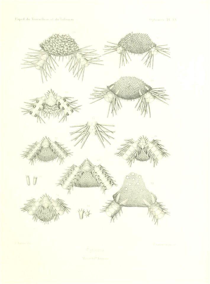 n546_w1150