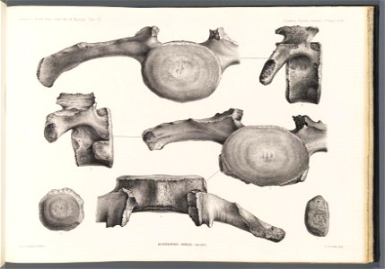 n223_w1150