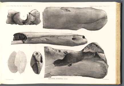 n162_w1150