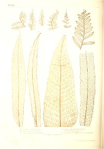 n359_w1150