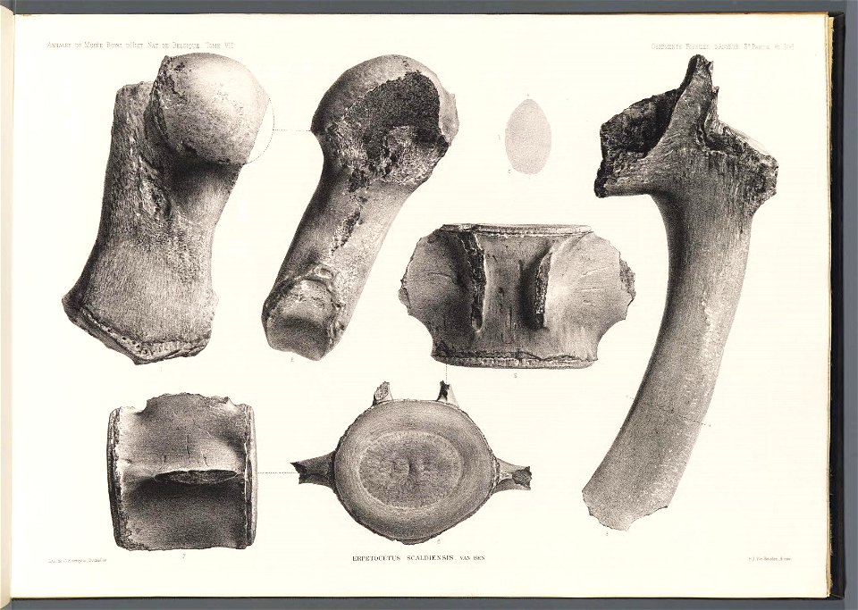 n282_w1150