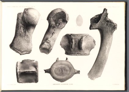 n282_w1150
