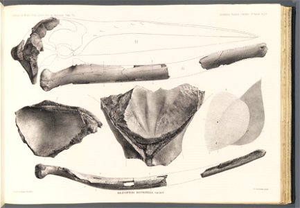 n158_w1150
