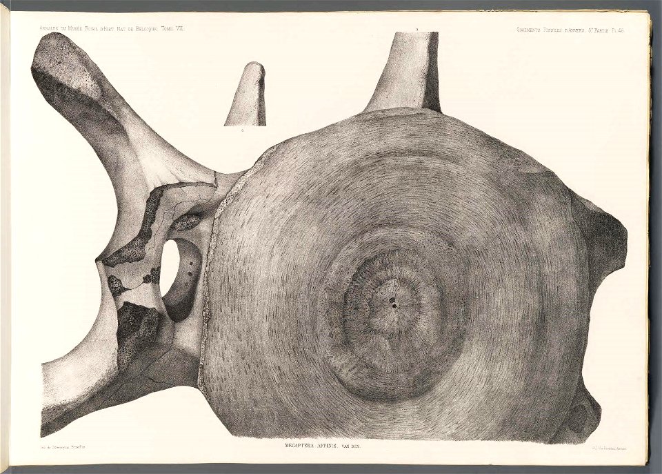 n35_w1150