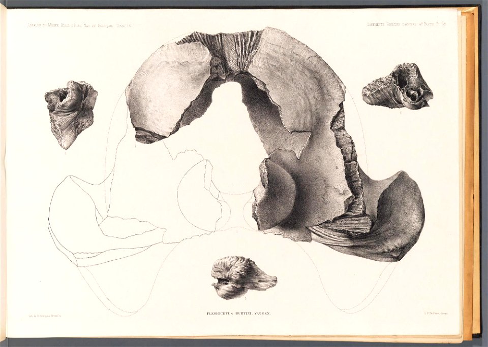 n119_w1150