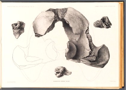 n119_w1150