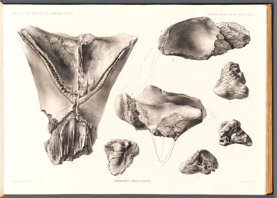 n59_w1150