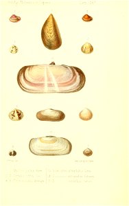 n546_w1150