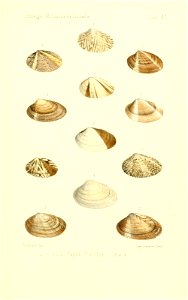 n456_w1150