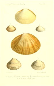n426_w1150