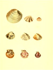 n352_w1150