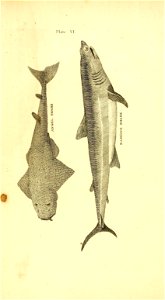 n143_w1150