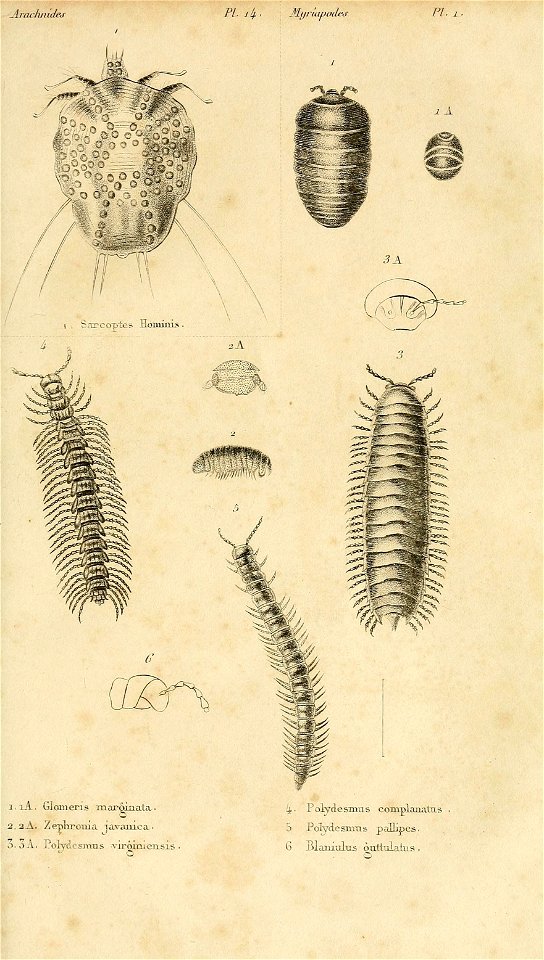 n612_w1150