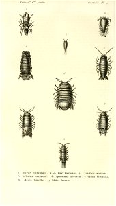 n305_w1150