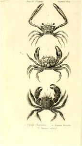 n105_w1150