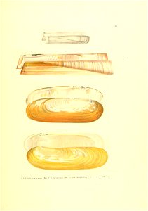 n158_w1150