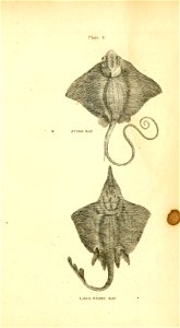 n132_w1150