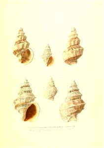 n156_w1150