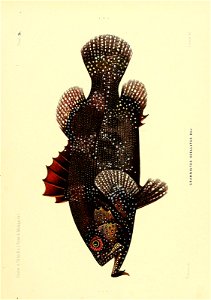 n242_w1150