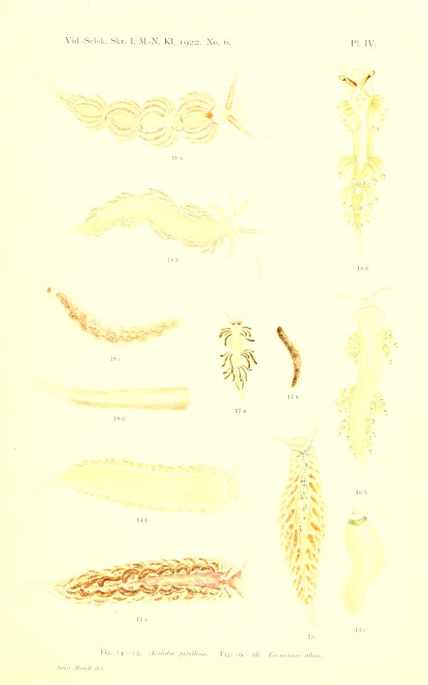 n116_w1150