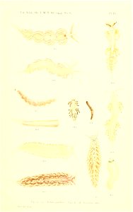 n116_w1150