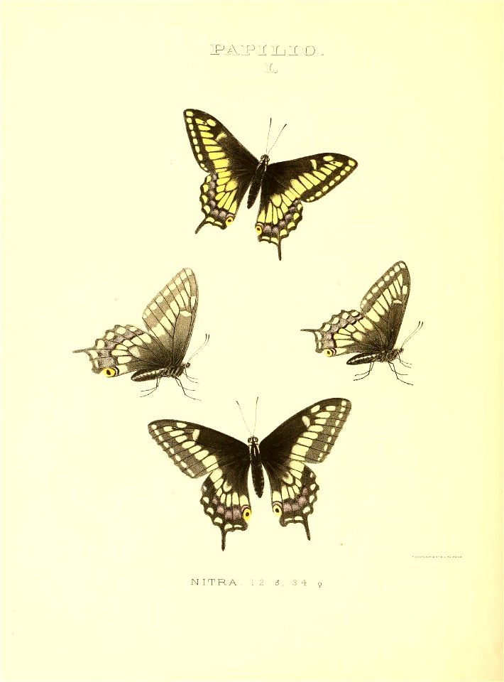 n167_w1150