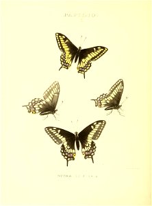n167_w1150