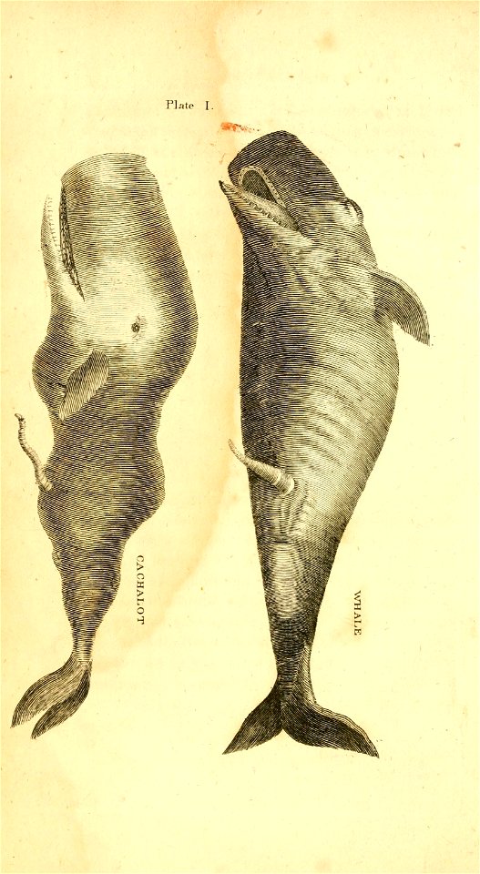 n69_w1150