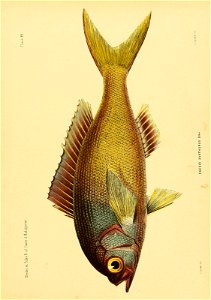 n236_w1150