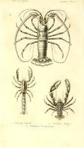 n221_w1150