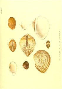 n208_w1150