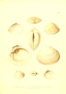 n178_w1150