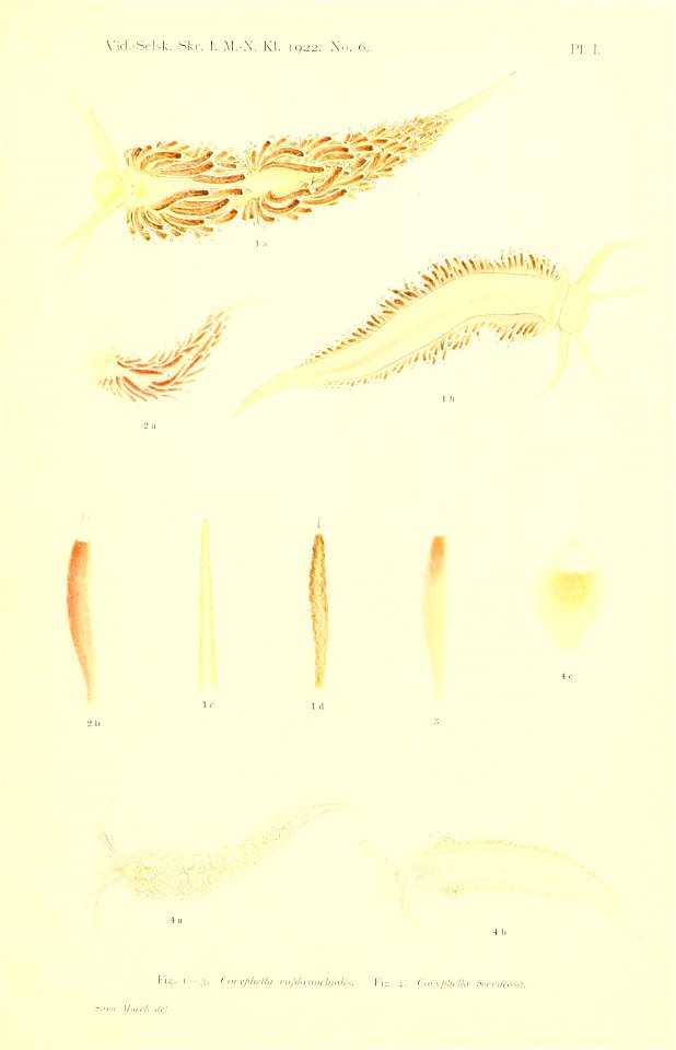 n110_w1150