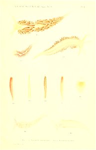 n110_w1150