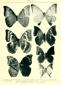n88_w1150